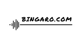 Bingaro