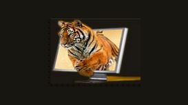 Tiger PC Solutions